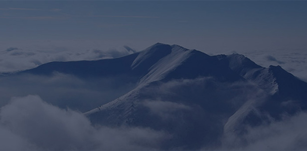 17c.com免费入口產業